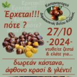 Δήμος Βοΐου: Καστανογιορτή στη Δαμασκηνιά 